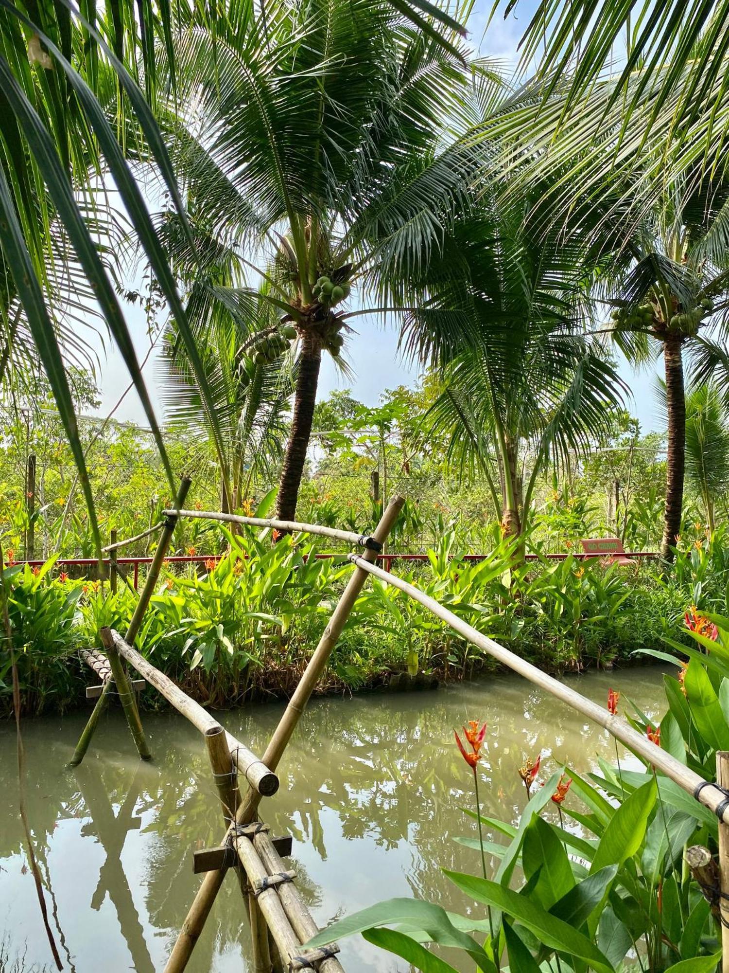 Go Chanh Homestay Cai Rang Экстерьер фото